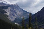 Highlight for Album: Icefields Parkway